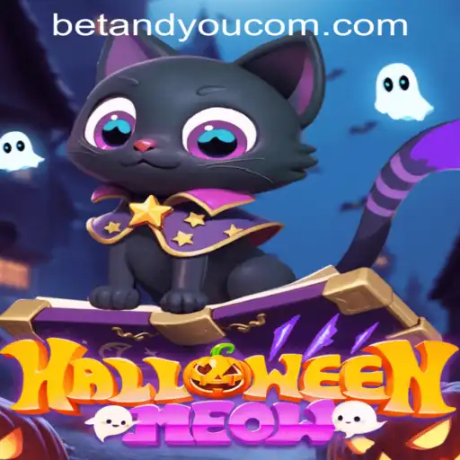 HalloweenMeow: A Spooky Adventure Awaits with BETANDYOU